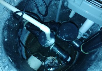 Choix d’une pompe submersible dans un puisard – Inspection Elite